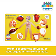 Human Organs Aqua Squish Kit for Kids 100% Safe & Non Toxic - EKT3665