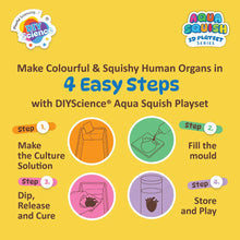 Human Organs Aqua Squish Kit for Kids 100% Safe & Non Toxic - EKT3665